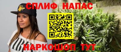 spice Моздок
